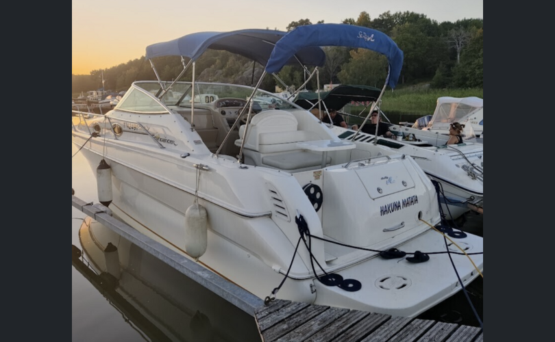 Sea Ray 270 Sundancer DA-kuva-1